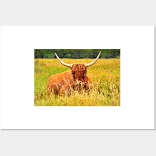 Highlander Cow in the tall grass Posters and Art